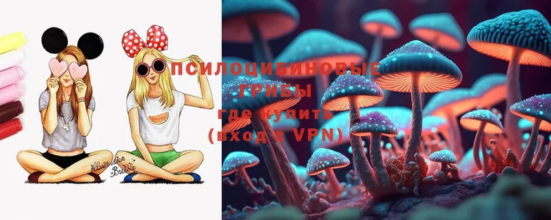 Галлюциногенные грибы MAGIC MUSHROOMS  ОМГ ОМГ ССЫЛКА  Ленинск 